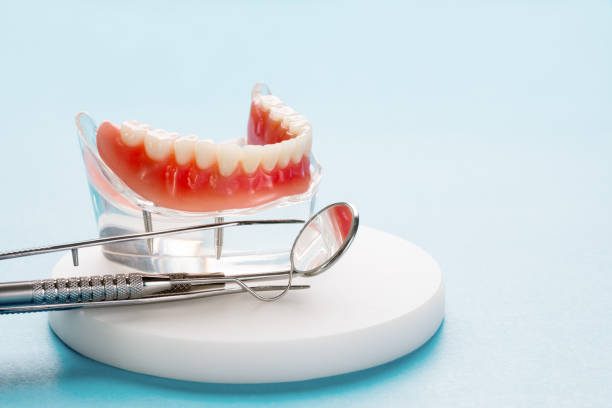 Best Preventive Dentistry  in Ansonia, OH